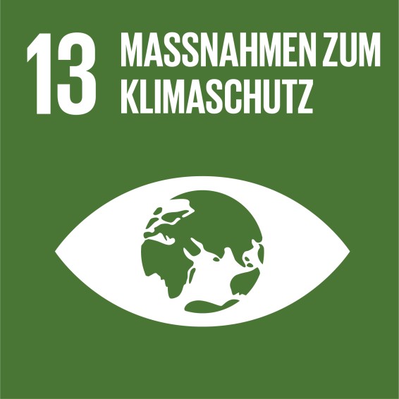 SDG icon DE 13